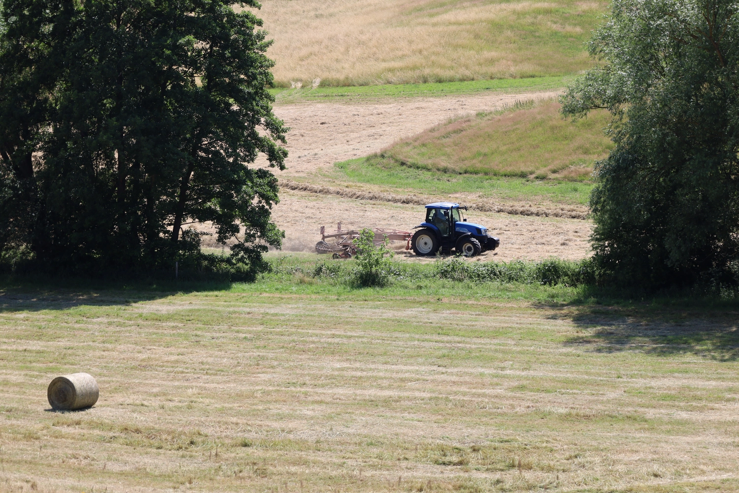 NM- Nerchau-Mutzschener - Landwirtschaft - Ein blauer Traktor zieht einen Heurechen und arbeitet auf einem hügeligen Feld. Im Vordergrund ist ein einzelner Rundballen zu sehen.