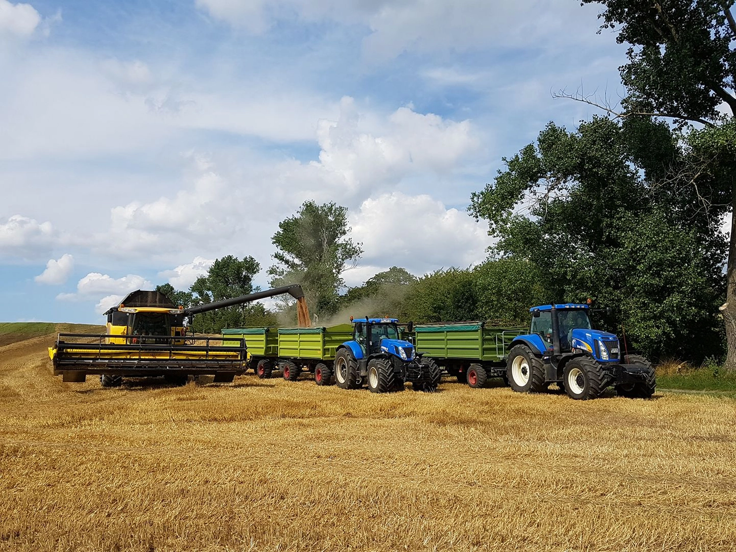 NM- Nerchau-Mutzschener - Landwirtschaft - Ein New Holland Mähdrescher entlädt Getreide in einen grünen Anhänger, der von einem blauen Traktor gezogen wird – inmitten eines goldenen Feldes.